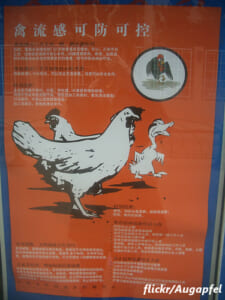鳥インフルエンザ、台湾で初の患者確認　感染拡大は食い止められるのか？