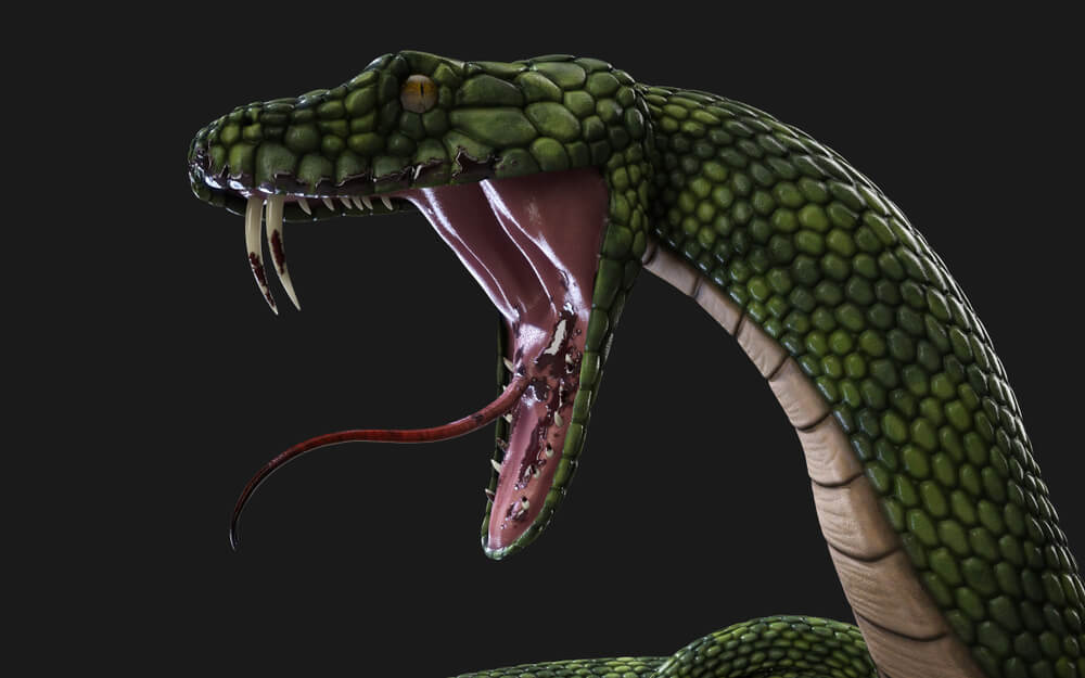 ティタノボア｜絶滅した史上最大の蛇の正体は？生態や最強の理由に迫る