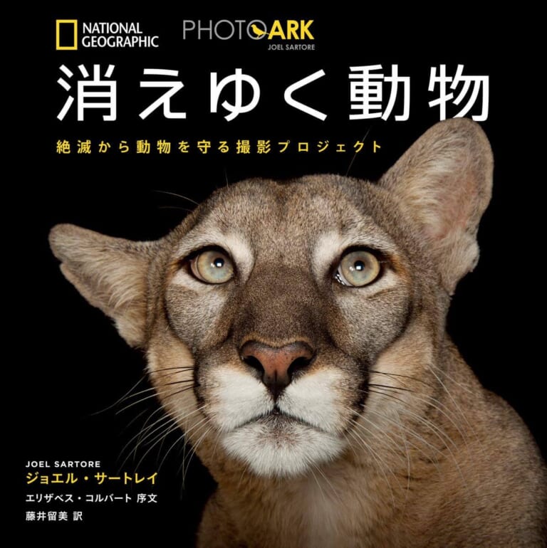 世界中の珍しい生き物15選｜かわいい動物からおすすめ図鑑まで紹介 - NewSphere