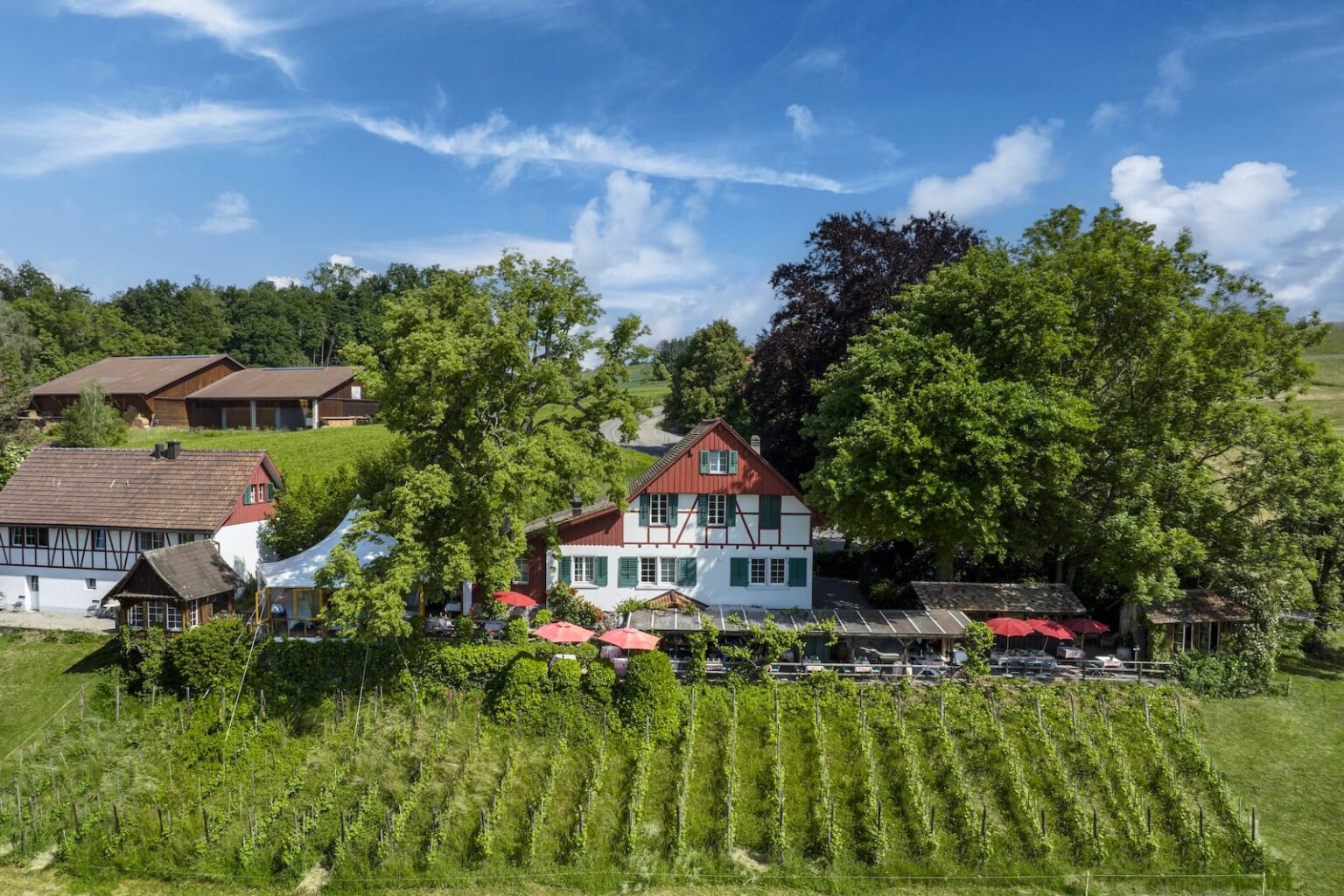 経済危機のベネズエラ、230万人が国外に脱出 食料・医薬品不足が深刻 NewSphere