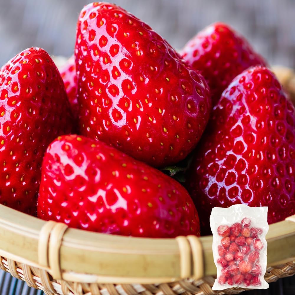 【RAKUSAI】冷凍いちご 国産 熊本県産 恋みのり 500g (500g×1袋) 大容量 業務用 冷凍 果物 野菜 苺 アイス スイーツ スムージー デザート トッピング