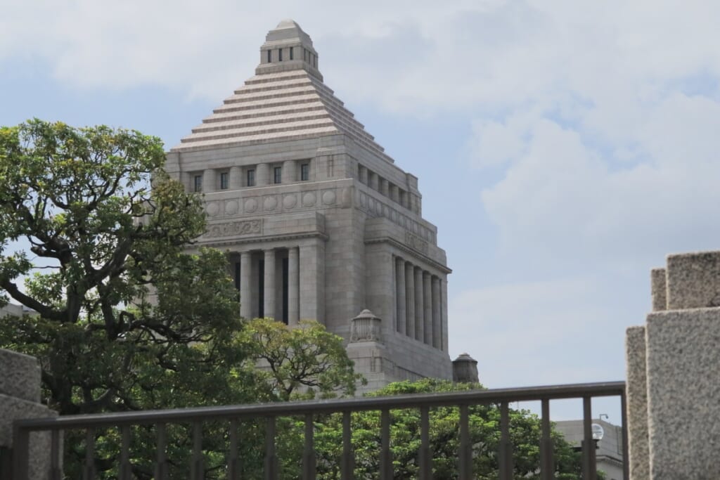 参院選当選なら「議員報酬なしで結構」 中国から帰化した行政書士・吉永藍が宣言 - NewSphere